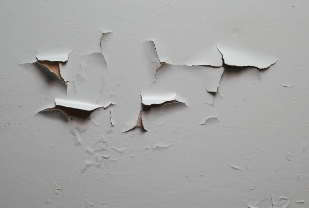 Blog How To Tell if Your Home s Paint Contains Lead