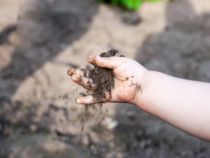 child-hand-holding-lead-paint-contaminated-soil