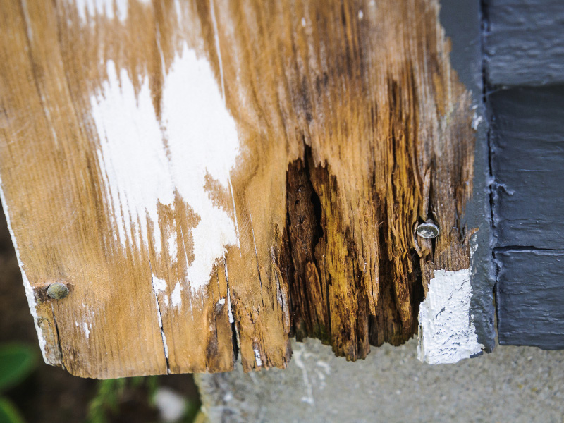 rotting-and-weathered-wood-on-corner-of-a-house