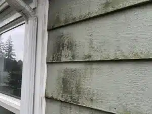 moisture-stains-and-mildew-on-exterior-siding an exterior painting contractor caulking a house